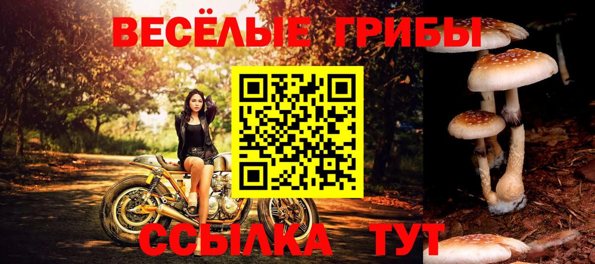 Псилоцибиновые грибы ЛСД  Вход с VPN  Белово 