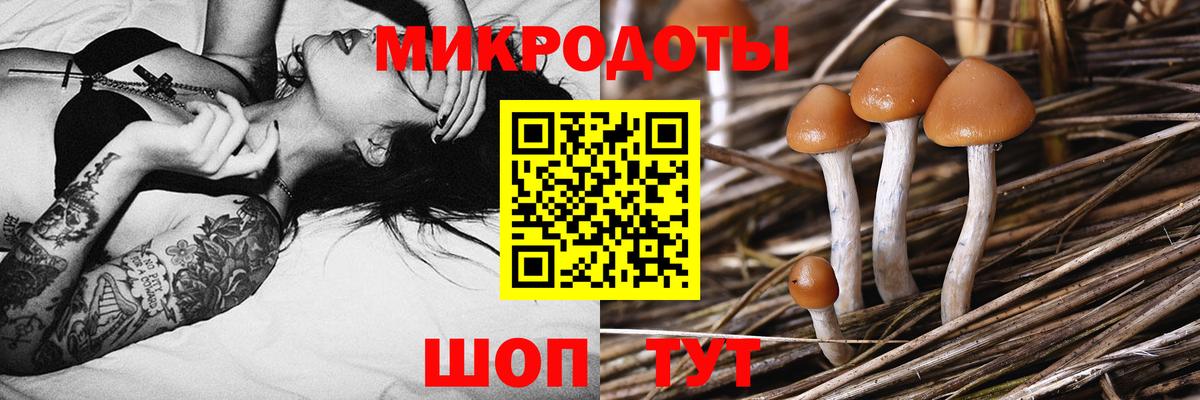 Псилоцибиновые грибы ЛСД Белово
